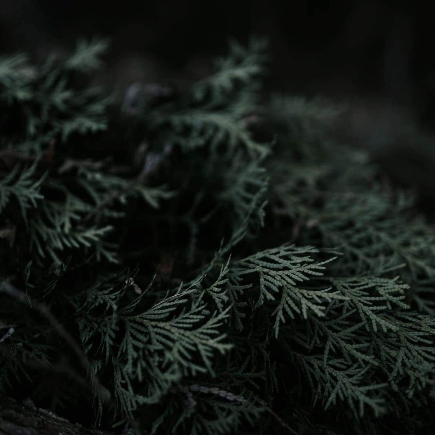 Perfume para armarios Nº 210