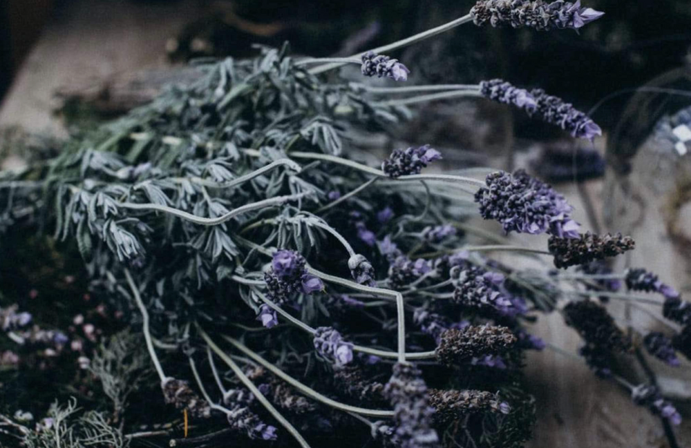 Aromas para el espíritu