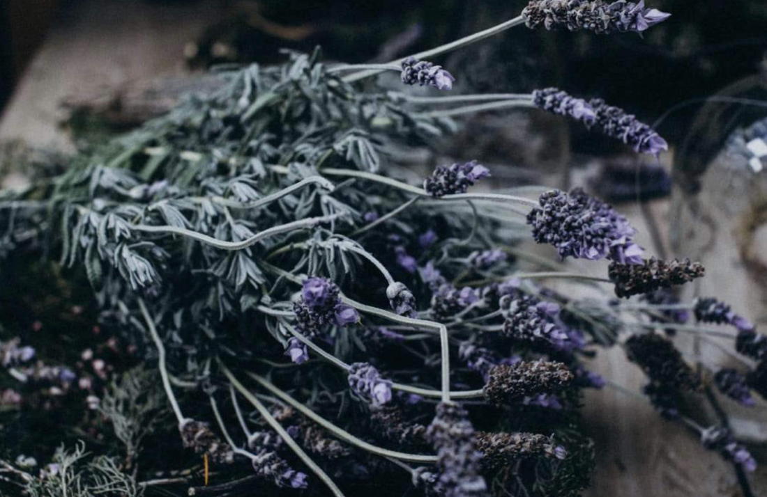 Aromas para el espíritu